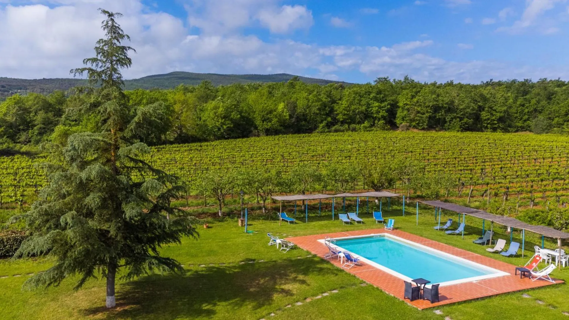 Apartment Fattoria Petraglia - Terrazza By Interhome Monteriggioni